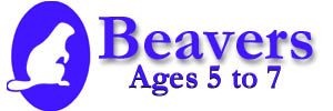 Beavers meet Tuesdays at Dan Knott School